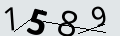 verifycode